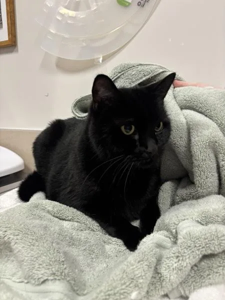 Paul @ Petsmart Seabrook