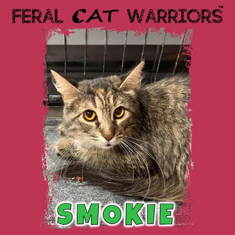 Smokie