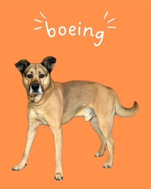 Boeing