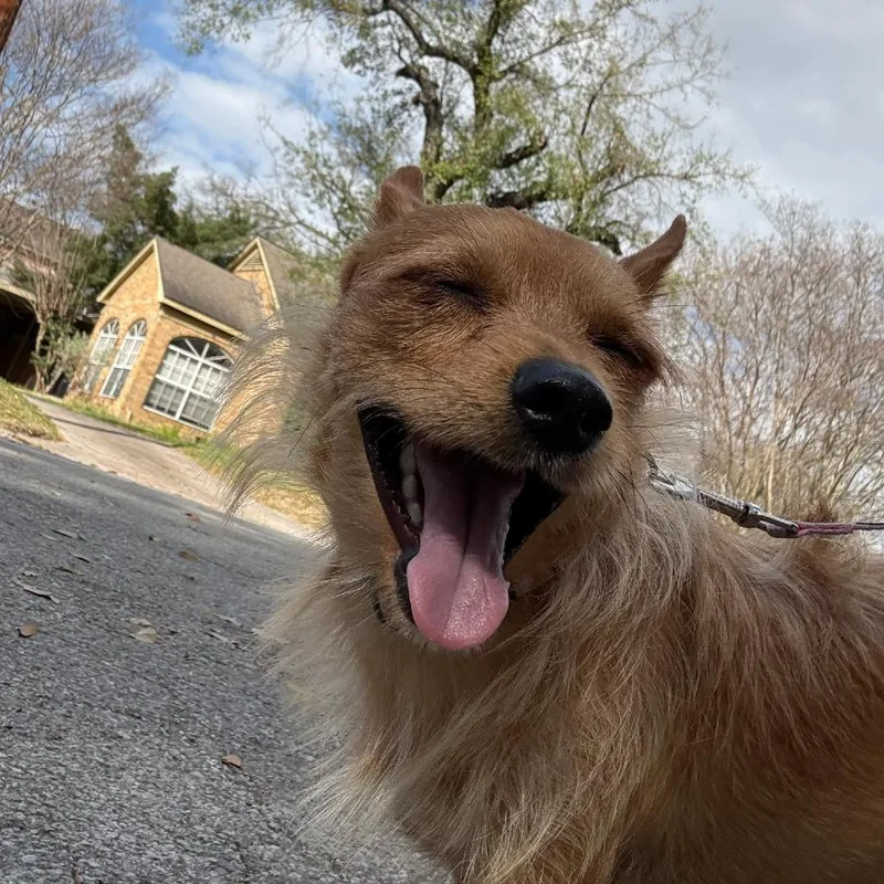 Tiki D Arriving thumbnail 4