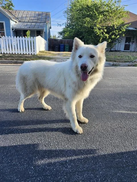 Coco