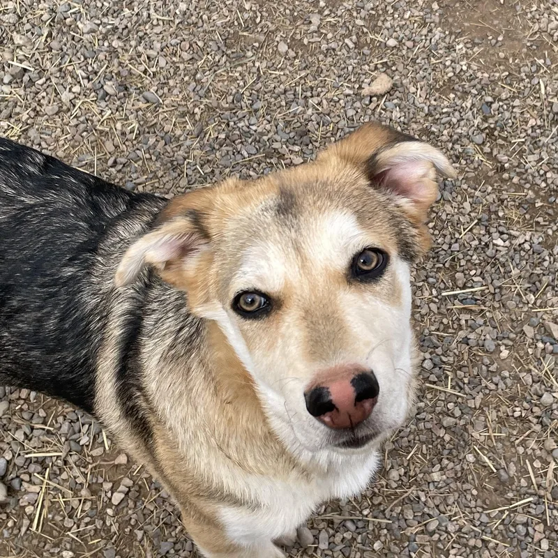 Michaelangelo thumbnail 2