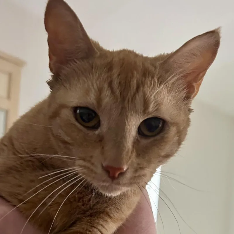 Mama Sweater thumbnail 2