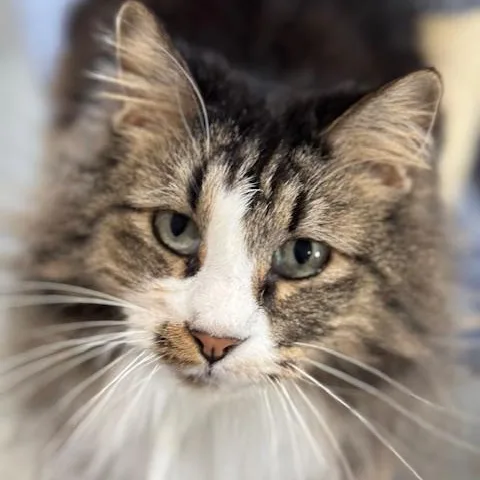 Kia And Poppy thumbnail 2