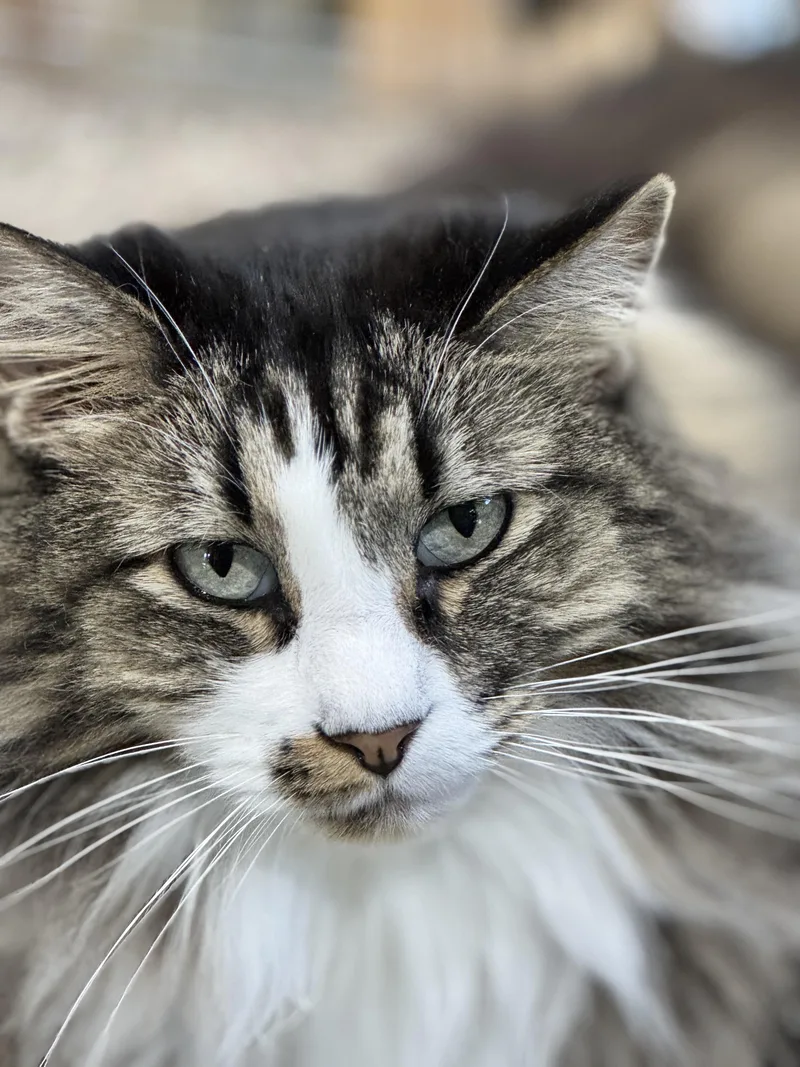 Kia And Poppy thumbnail 4