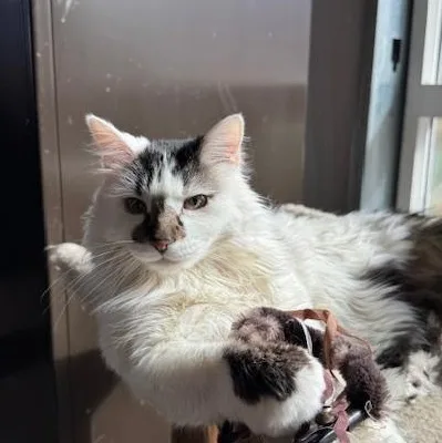 Kia And Poppy thumbnail 5