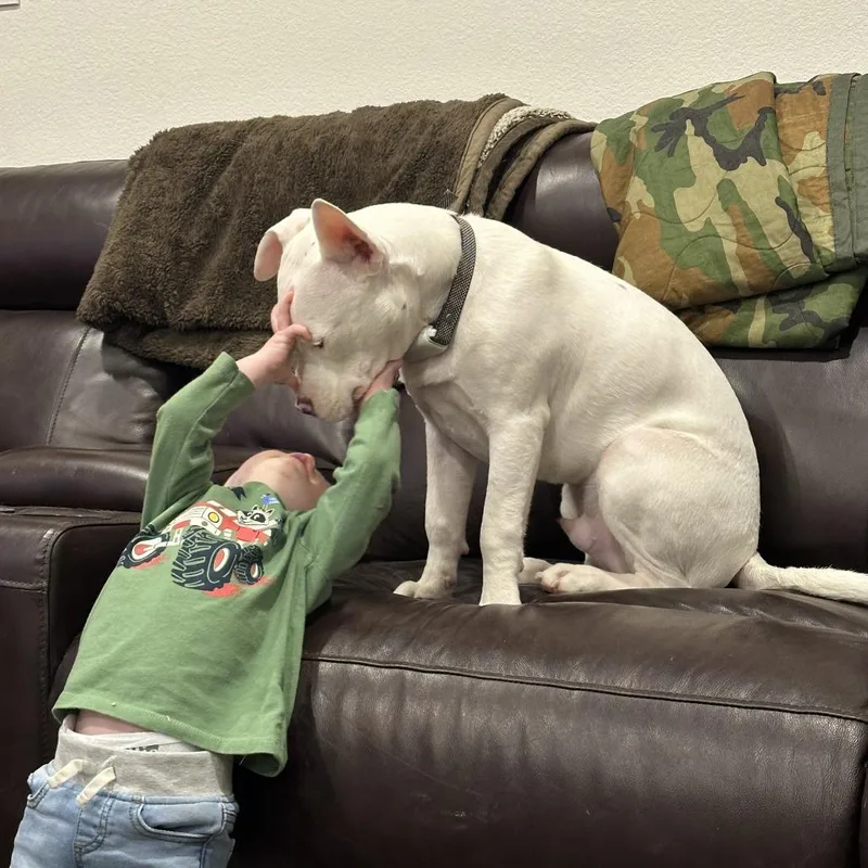 Casper thumbnail 6