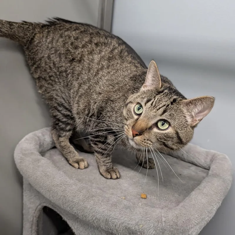 Little  Bit thumbnail 2