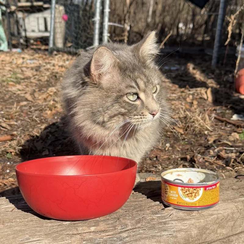 Found Ne Rochester thumbnail 2