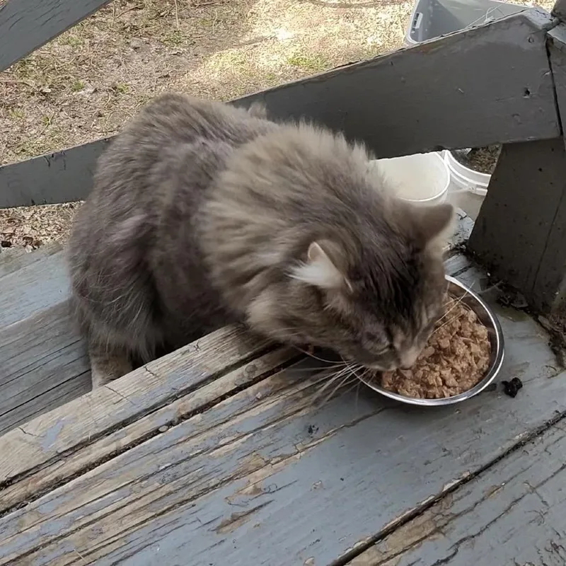 Found Ne Rochester thumbnail 3