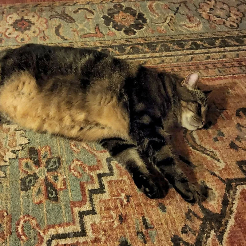 Union Jack Aka Jack thumbnail 2