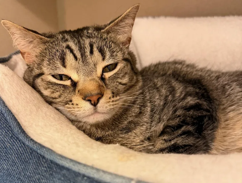 Karolina And Katrina thumbnail 2