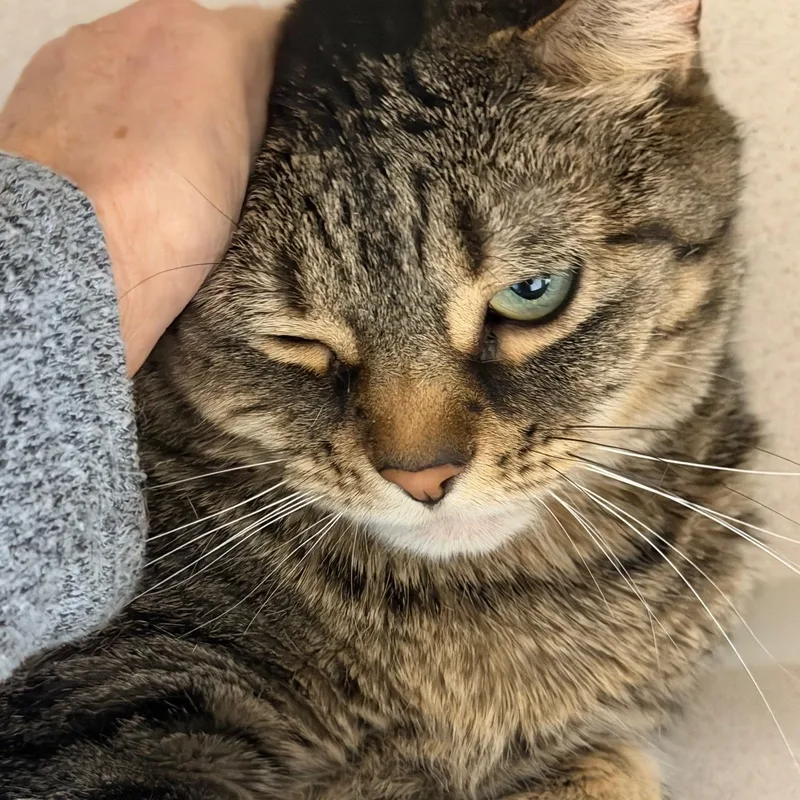 Karolina And Katrina