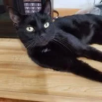 Oliver