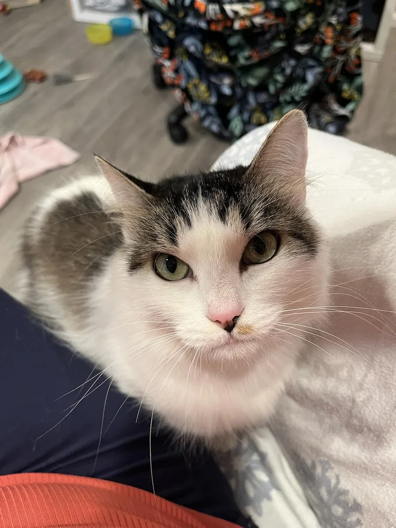 Florence thumbnail 2