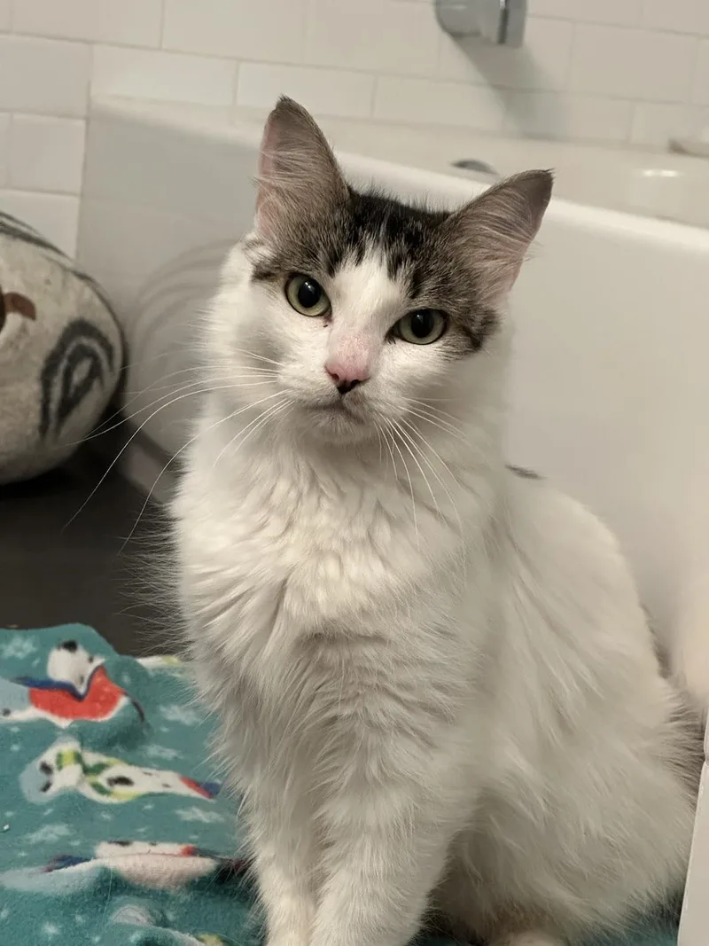 Florence thumbnail 3