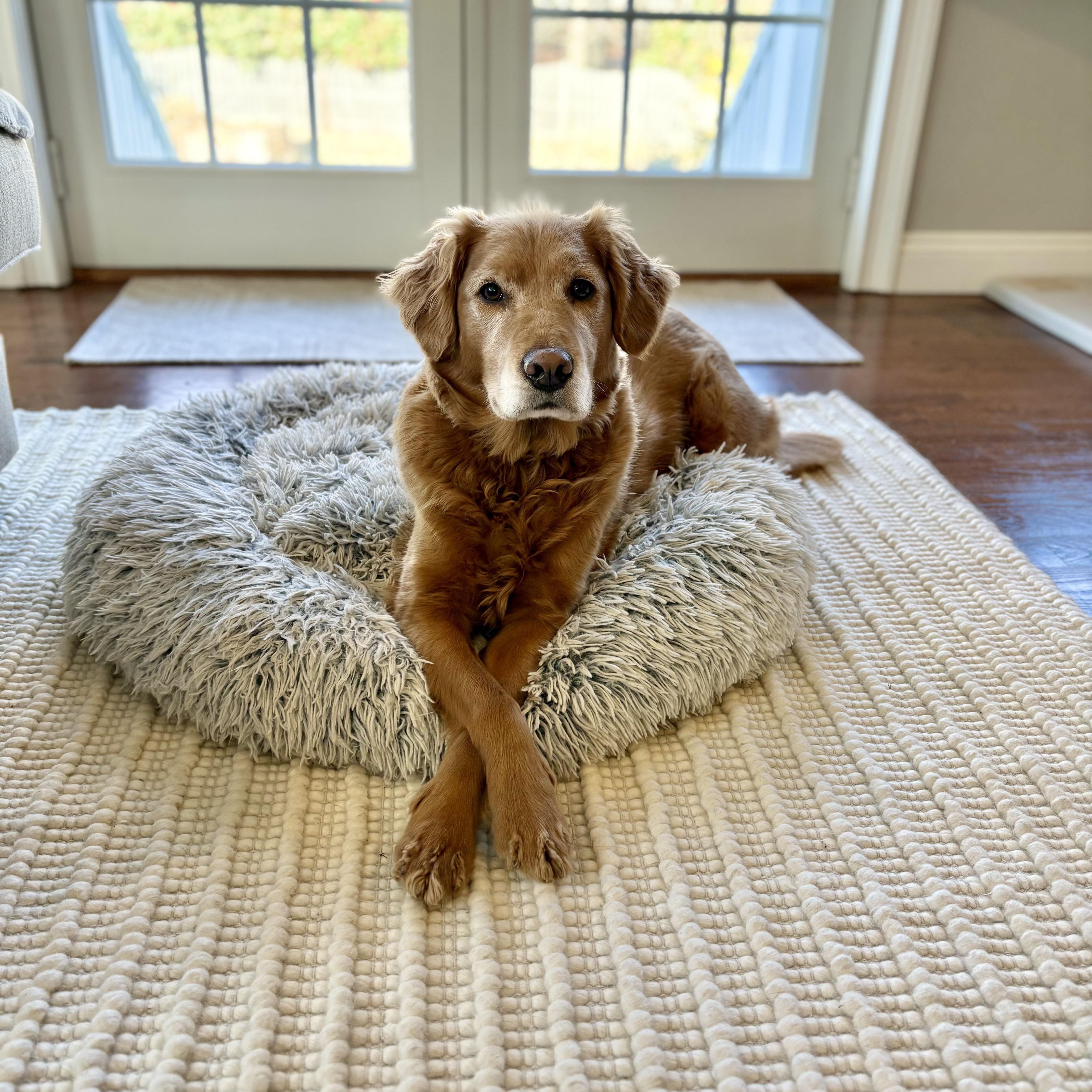 Barley