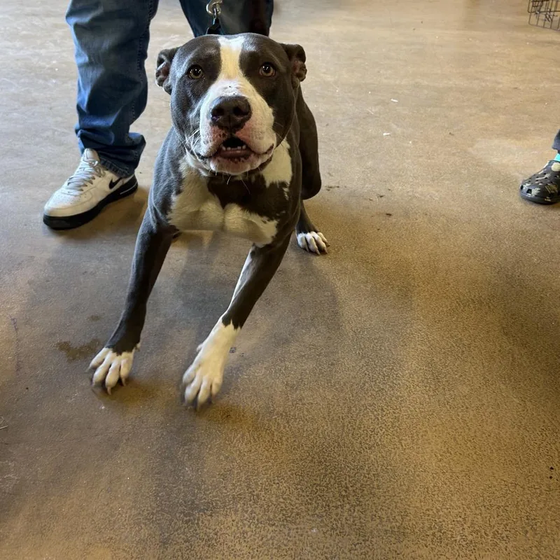 Zeus