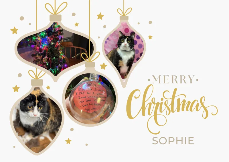 Sophia thumbnail 6