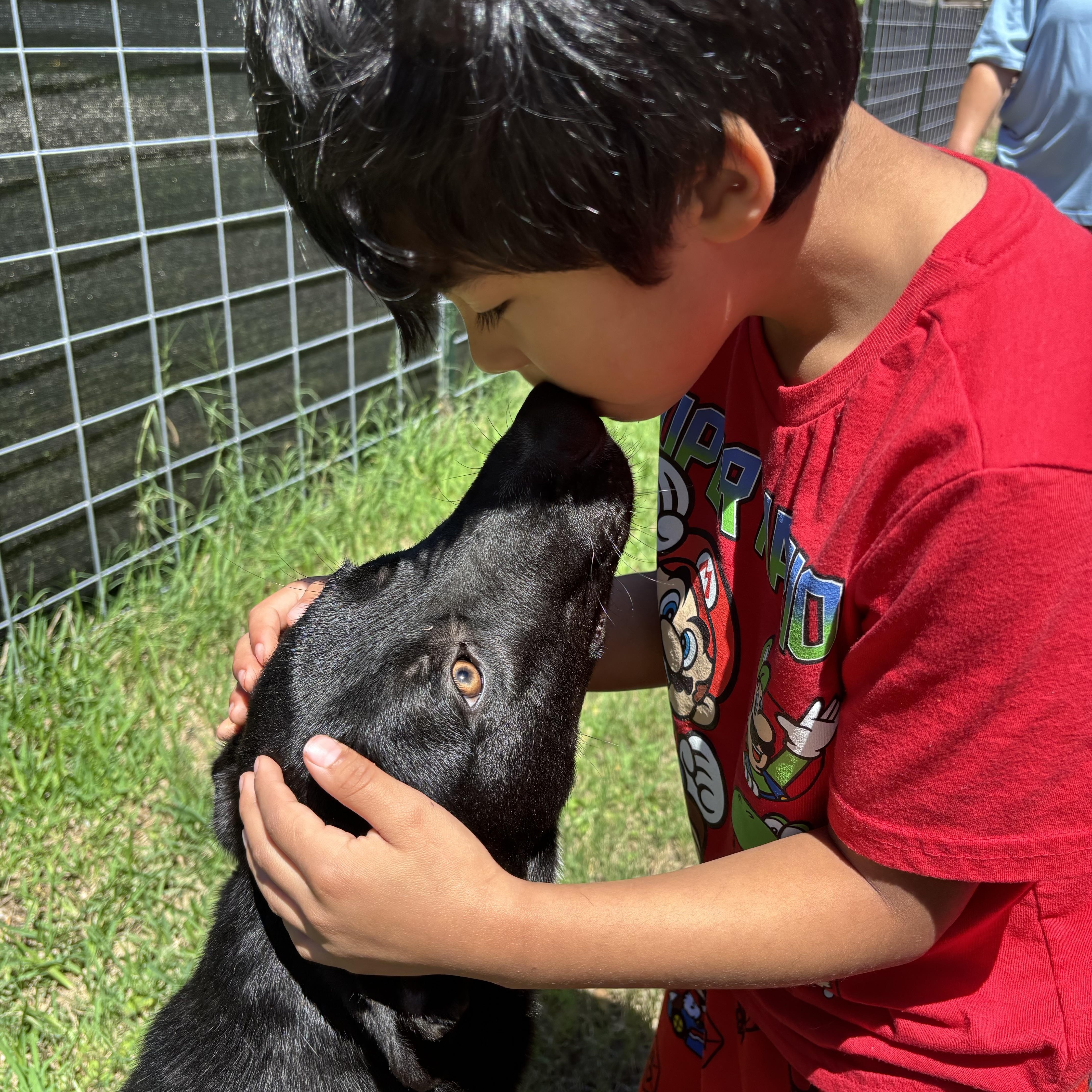 Rascal thumbnail 2