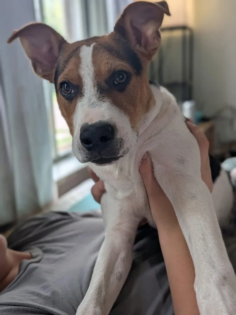 Cooper thumbnail 2