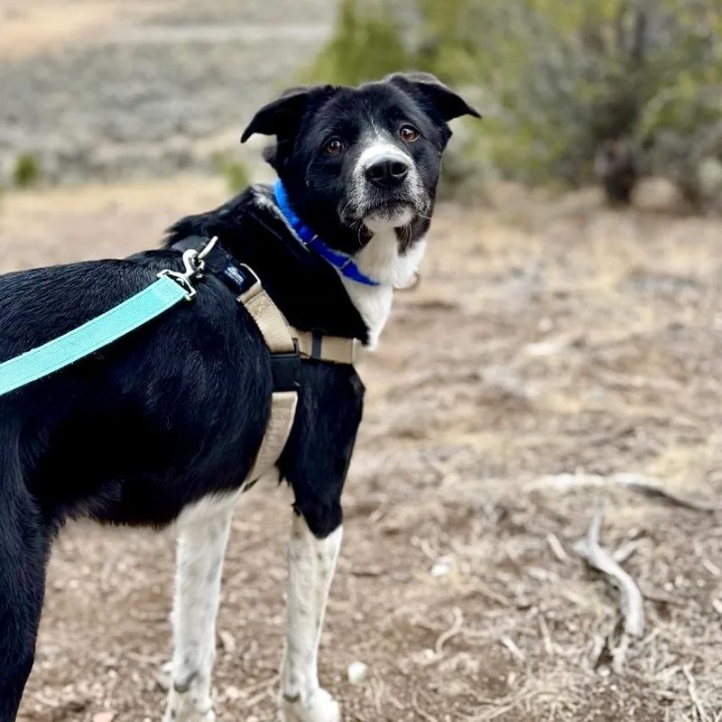 Emme Lou thumbnail 2