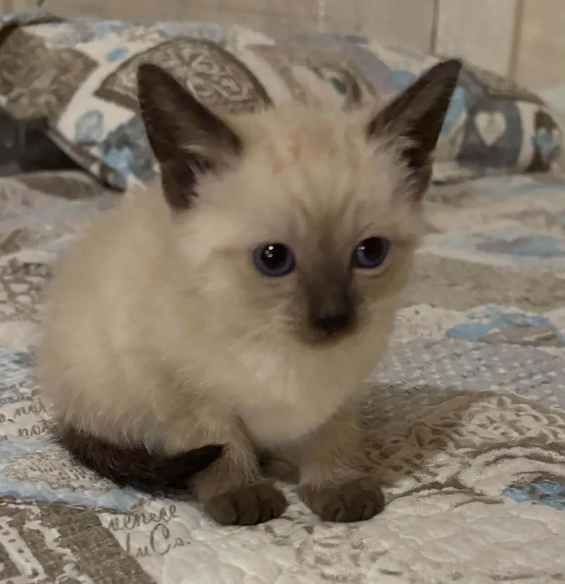 Quinn
