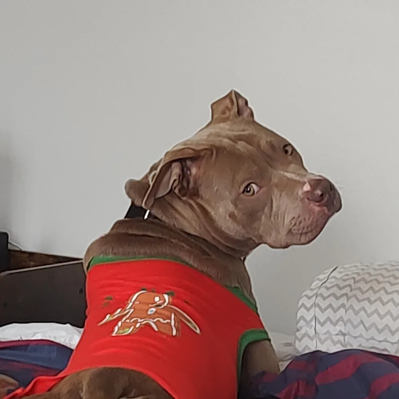 Harriet Potter thumbnail 2