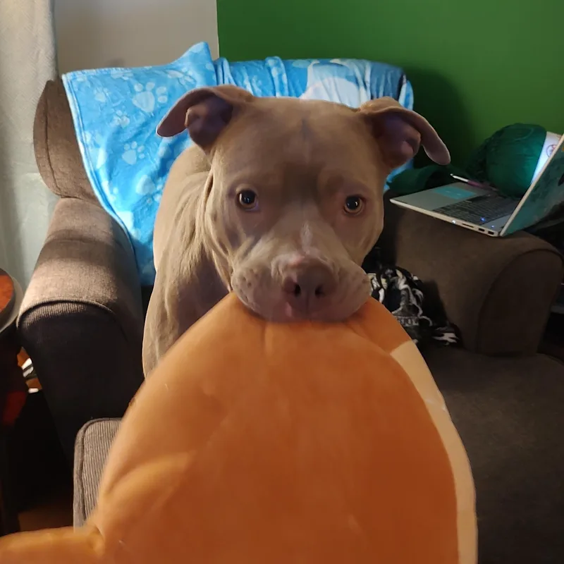 Harriet Potter thumbnail 6