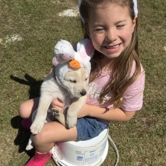 Teddy Bear thumbnail 4