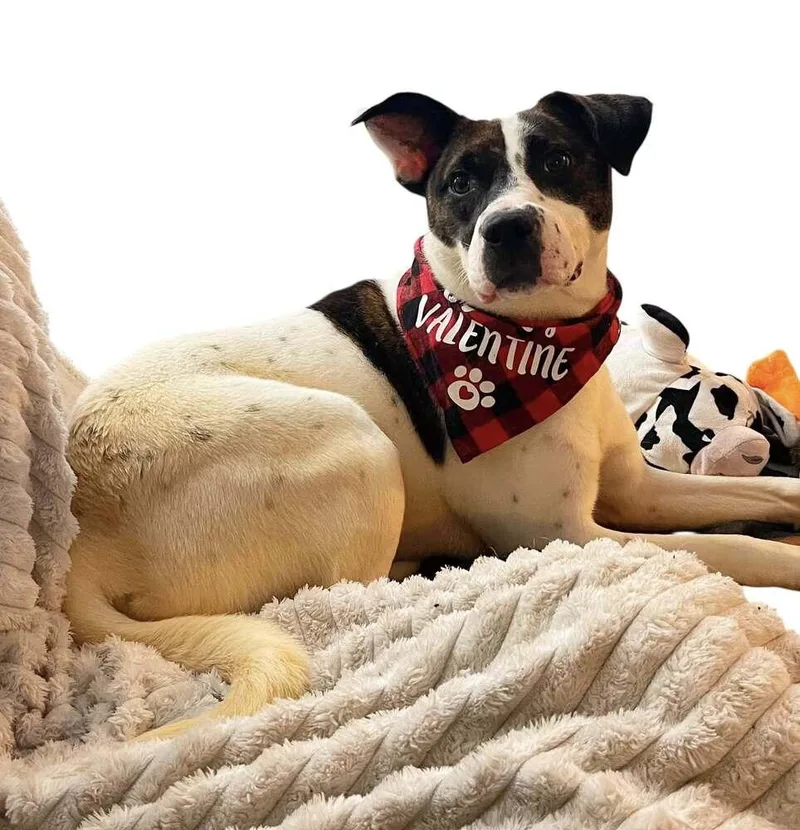 Daisie Duke thumbnail 3