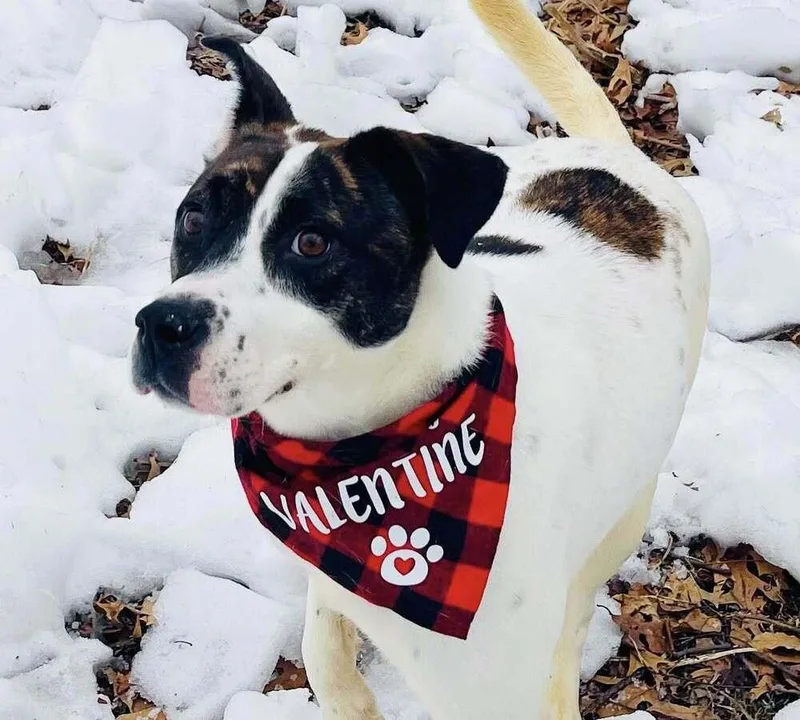 Daisie Duke thumbnail 5