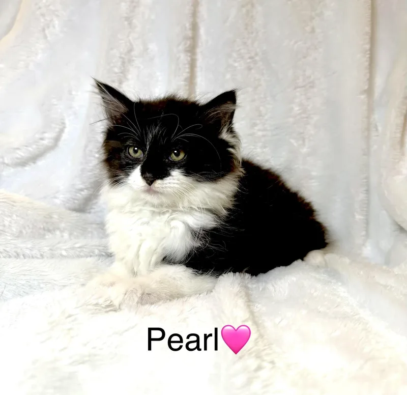 Pearl