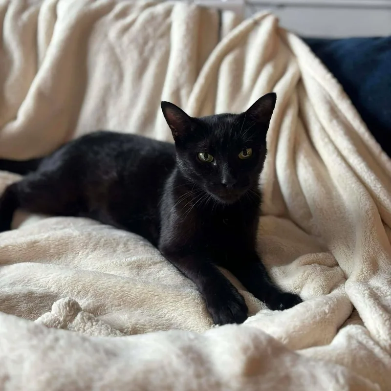 Mama Nori thumbnail 2