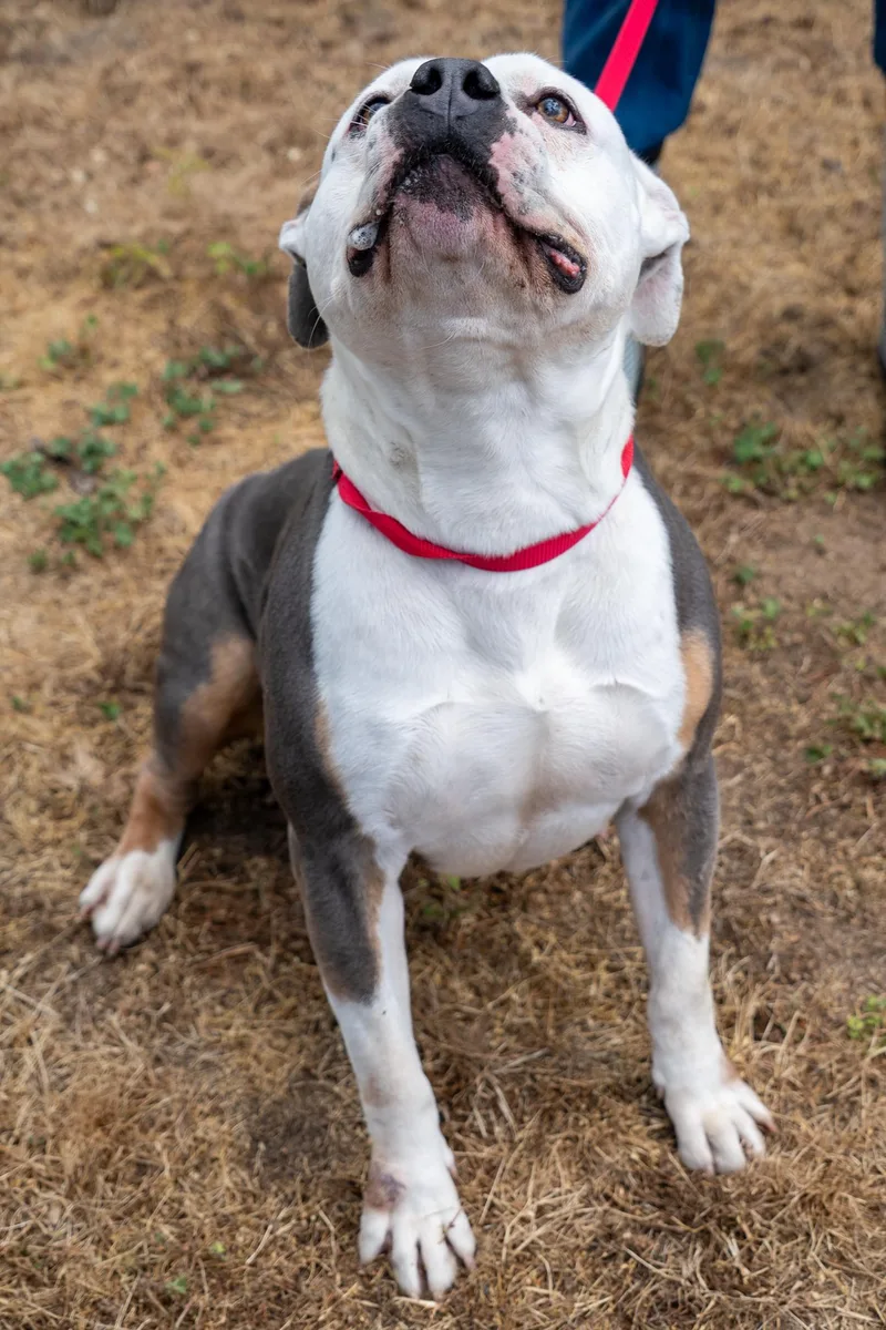 Pepper thumbnail 2
