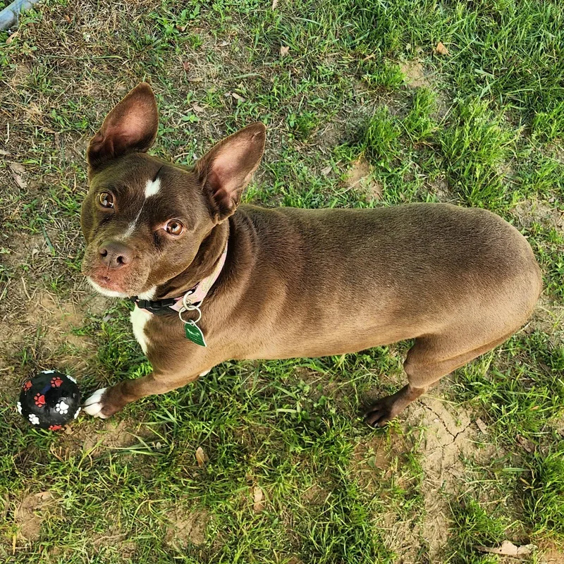 Baby Sasha thumbnail 3