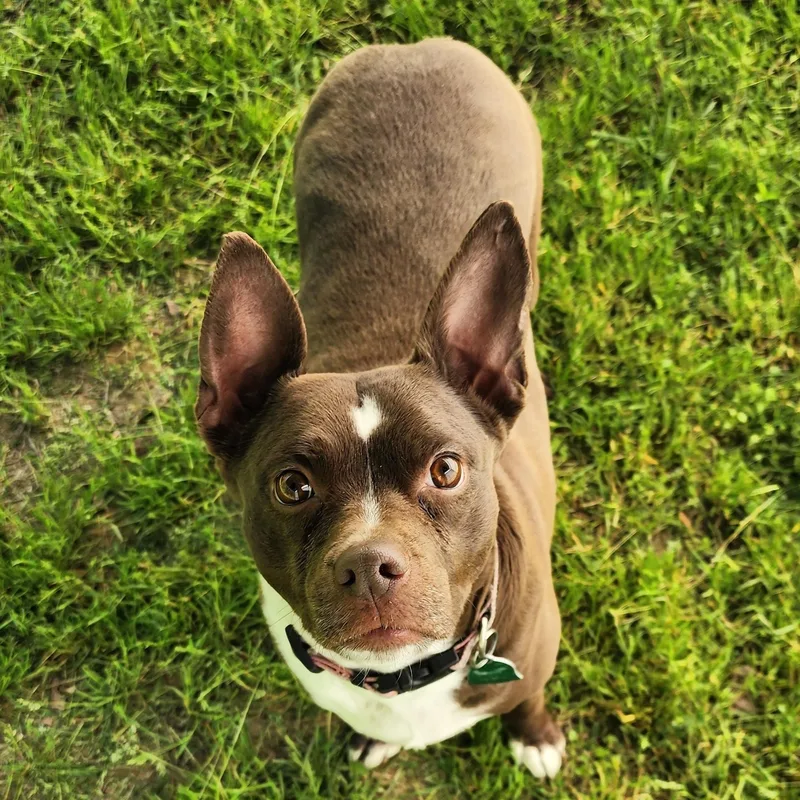 Baby Sasha thumbnail 4