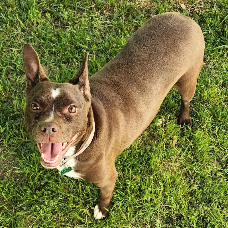 Baby Sasha thumbnail 5