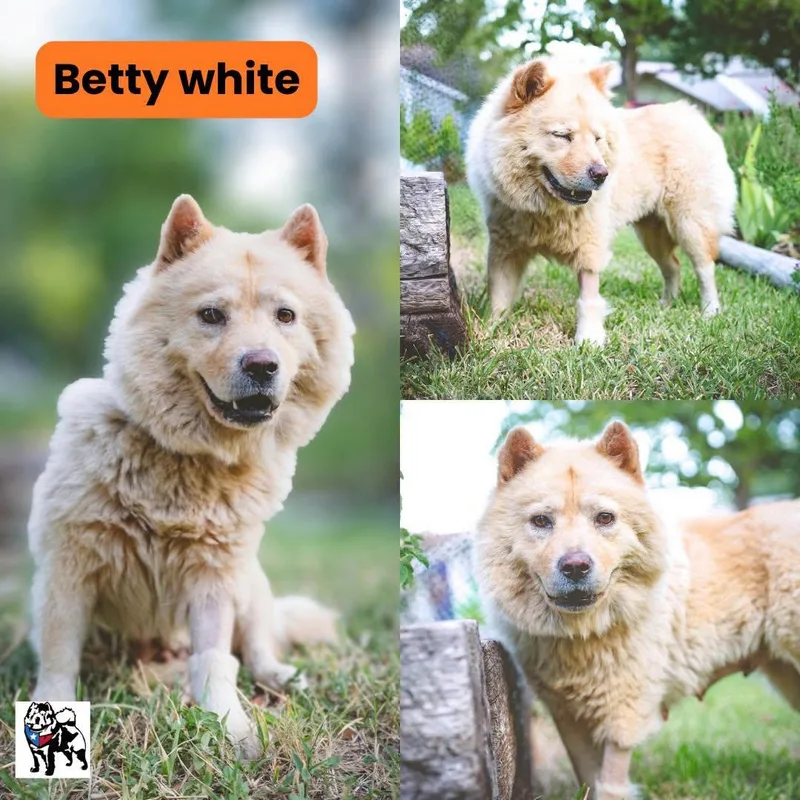 Betty White fka Lucinda thumbnail 2
