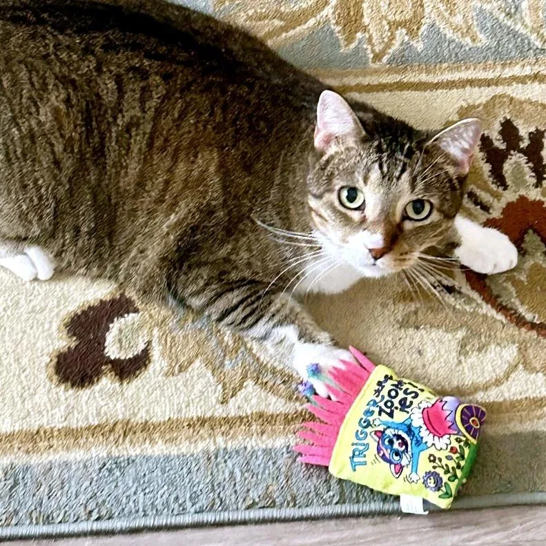 Mystery Loaf thumbnail 3
