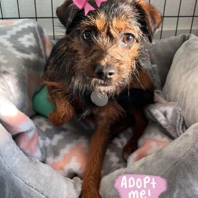 Madison Castle thumbnail 2