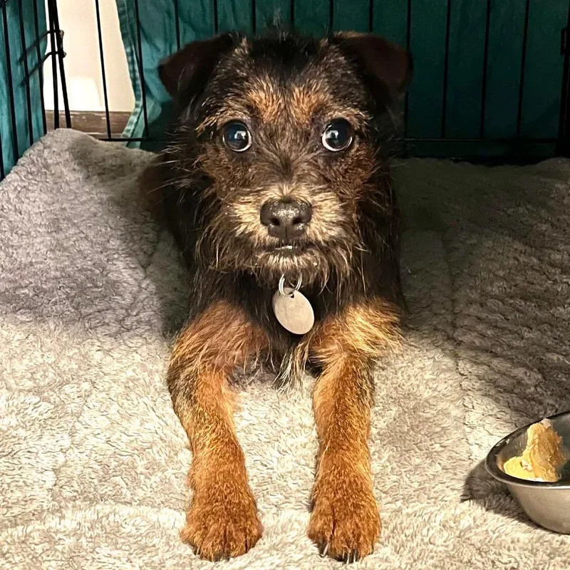 Madison Castle thumbnail 3