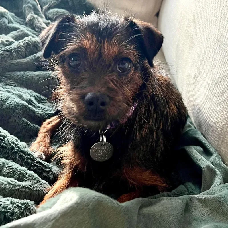 Madison Castle thumbnail 4