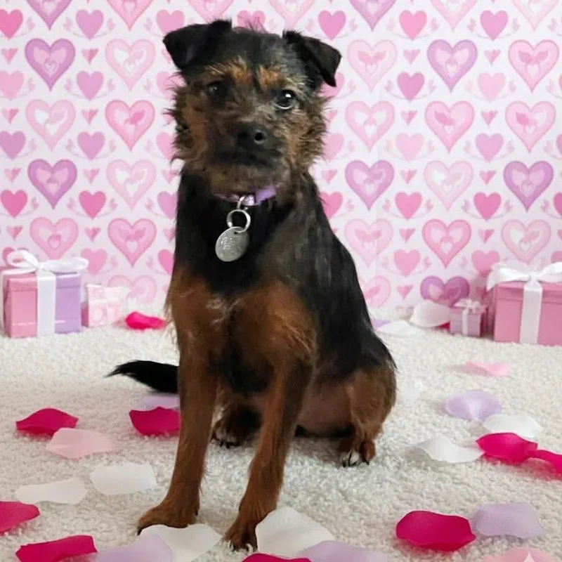 Madison Castle thumbnail 5