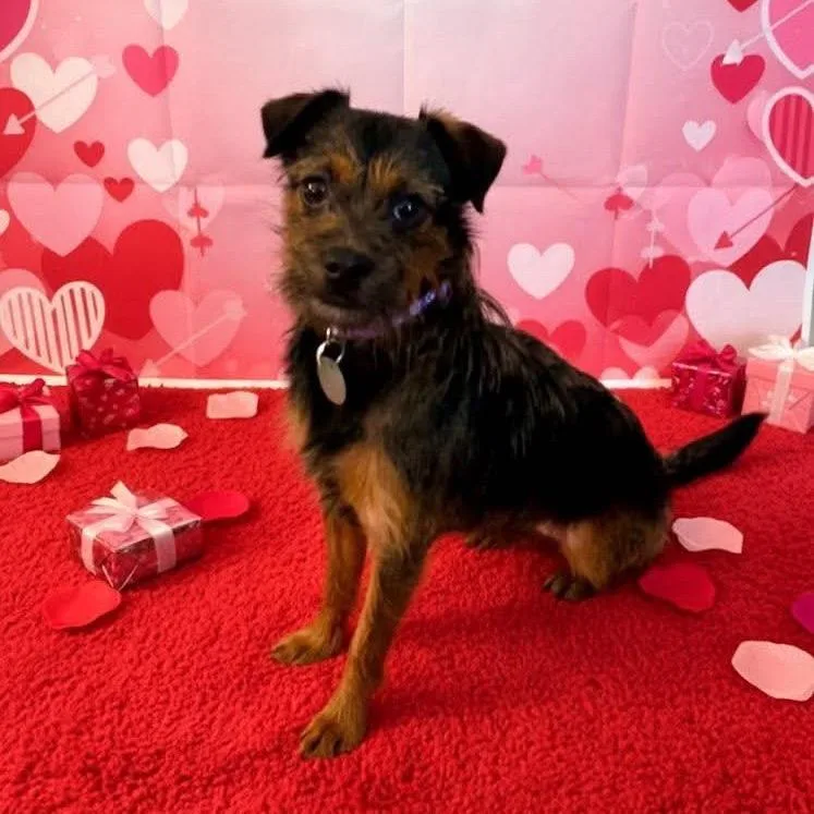 Madison Castle thumbnail 6