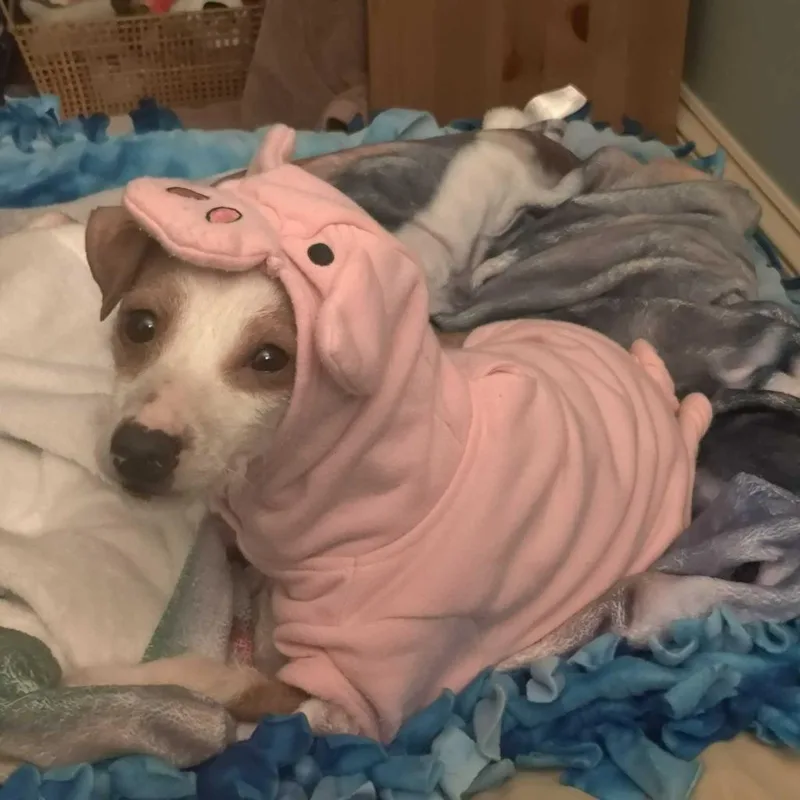 Springtime thumbnail 2