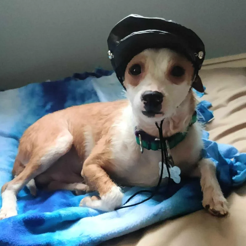 Springtime thumbnail 3