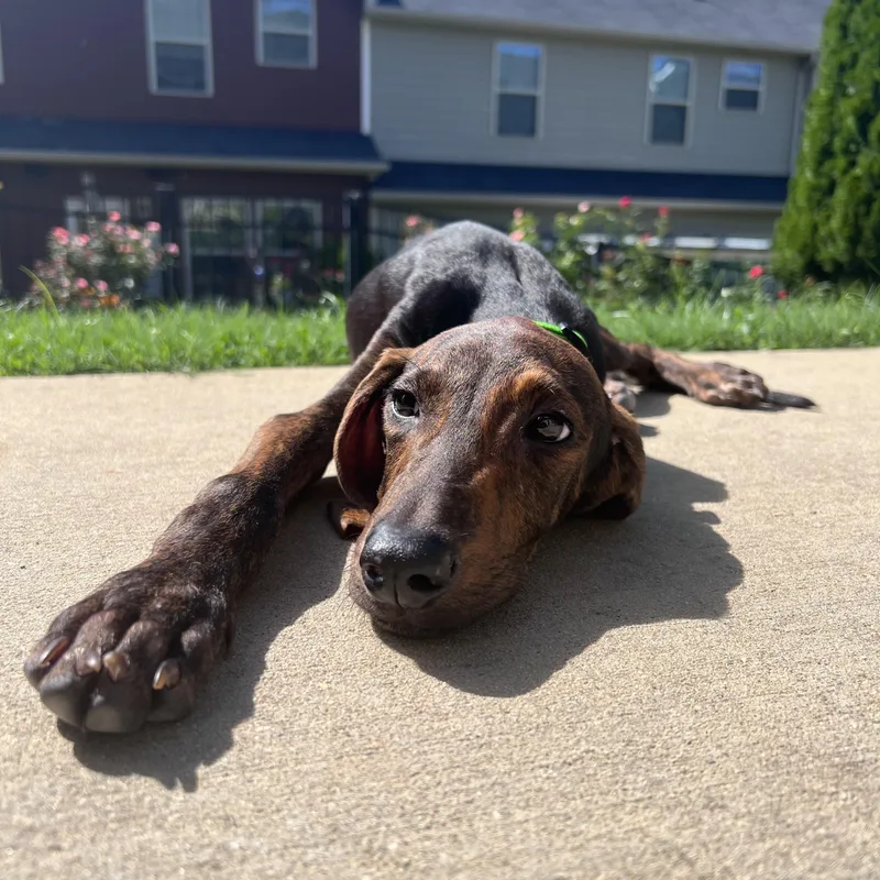 Franklin thumbnail 3
