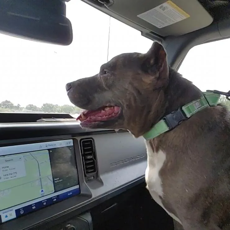 Chloe thumbnail 2