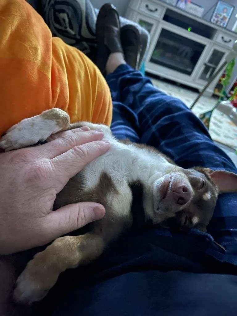 Coco Bean Sanctuary thumbnail 2